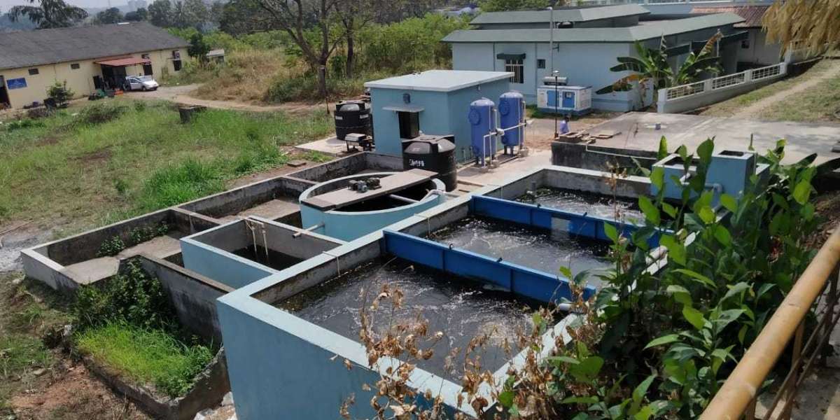 What are the advantages and disadvantages of Sewage Treatment Plant in Delhi?
