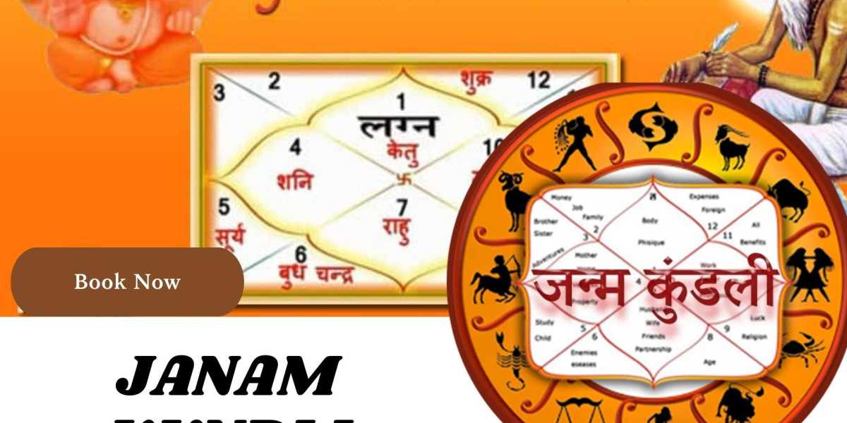 Astrological Blueprint: Janam Kundali with Birth Details
