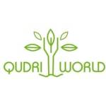 Qudri World