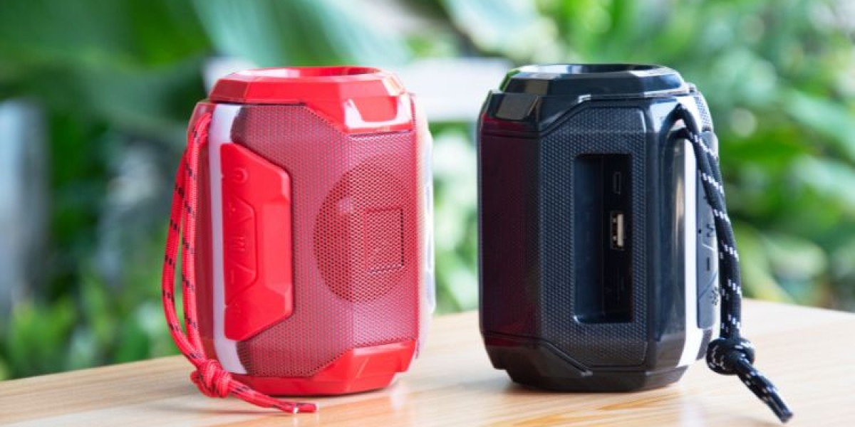 Portable Bluetooth Speakers Market: Key Trends and Insights