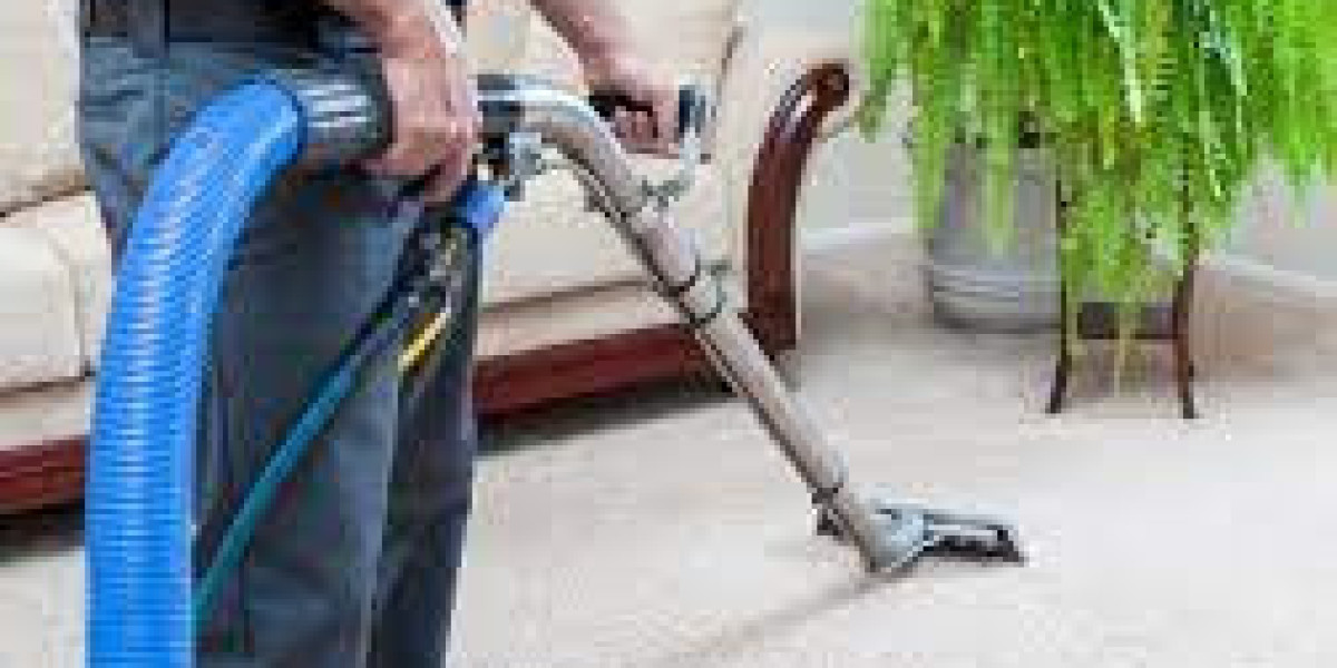 Professional Carpet How Cleaning Enhances Your Home Appearance
