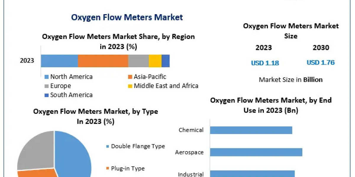 Market Overview: Oxygen Flow Meters Industry Expansion by 2030