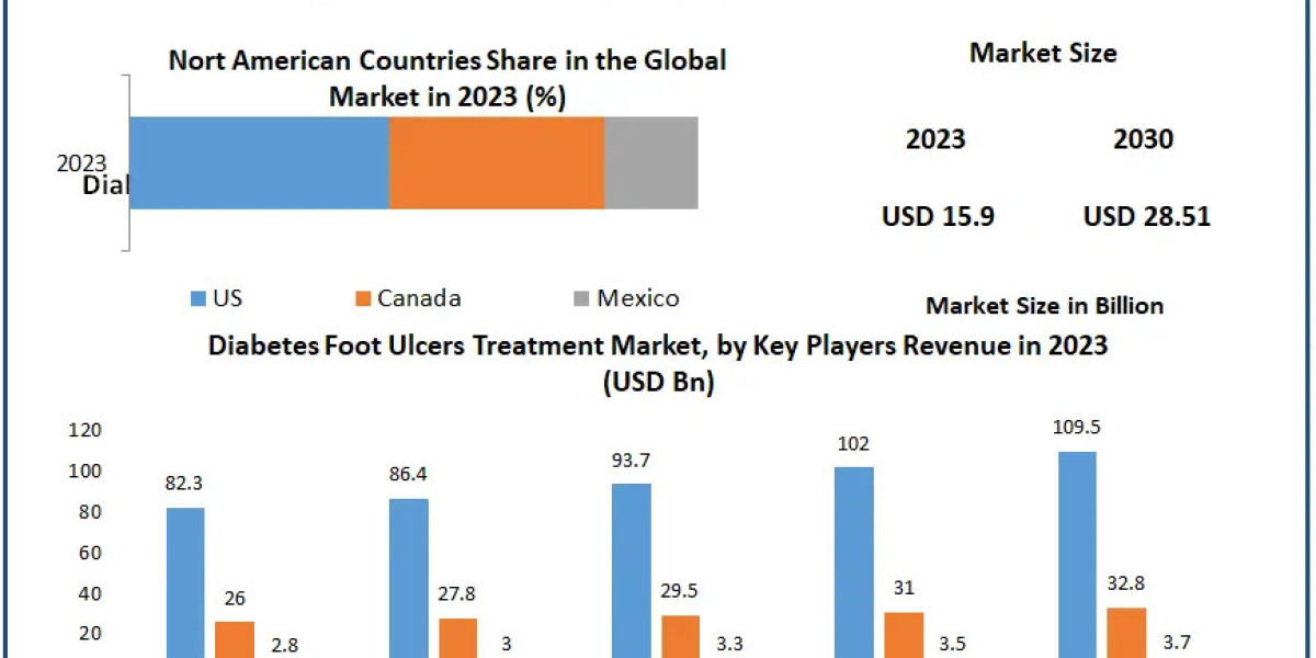 Diabetes Foot Ulcers Treatment Industry Forecast: Growth Insights to 2030